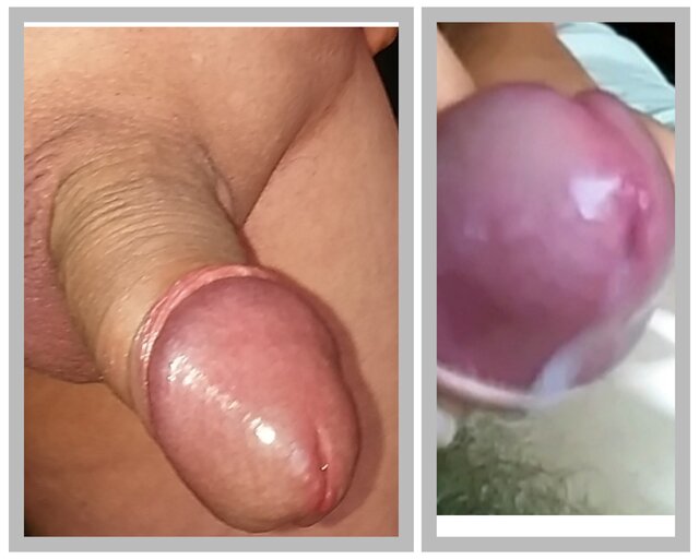 Pa64