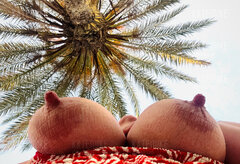 Daktyle Hammamet