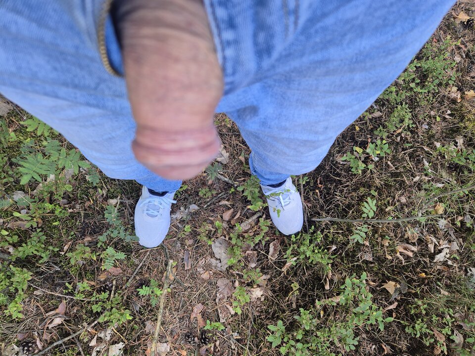 10643.jpg - koszyk10