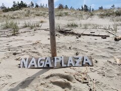 IMG_20260711_123738.jpg