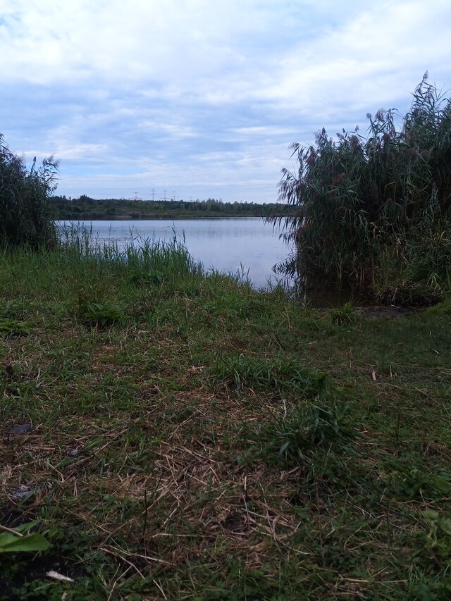 75Cichy