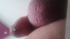 IMG_20260831_102552583.jpg