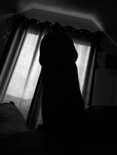 IMG_4060.jpeg