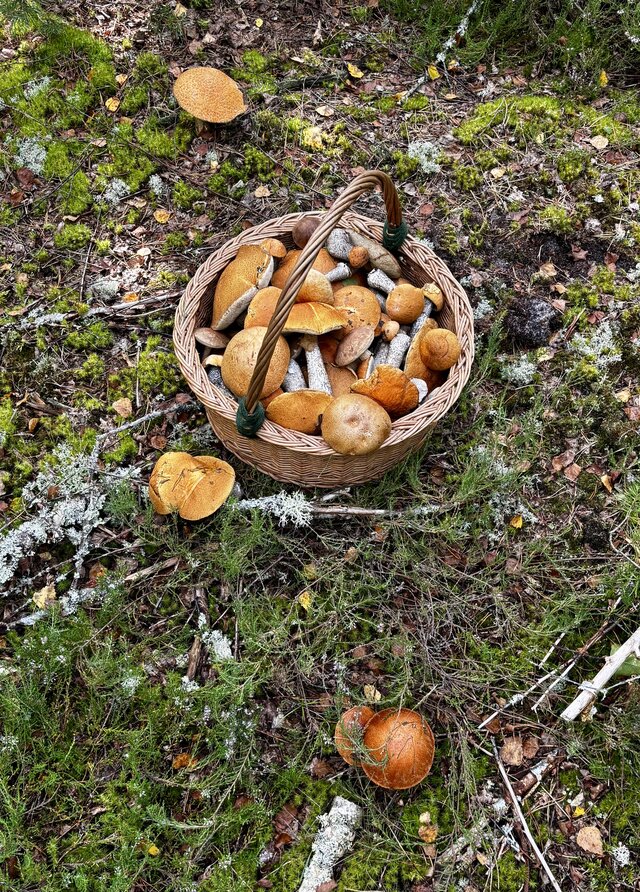 NaturystaXXX