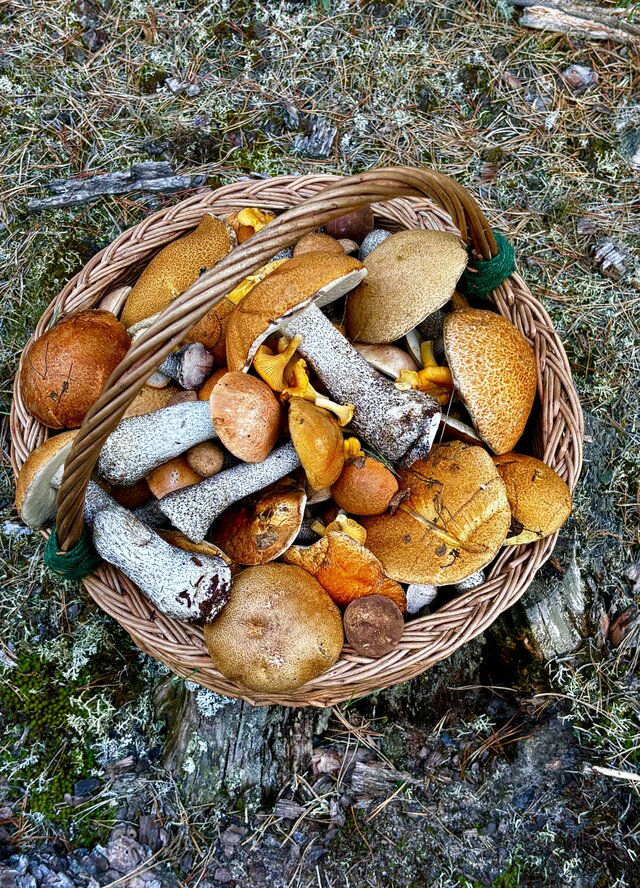 NaturystaXXX