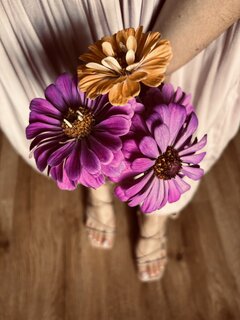 IMG_4949.jpeg