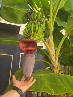 1000027193.jpg