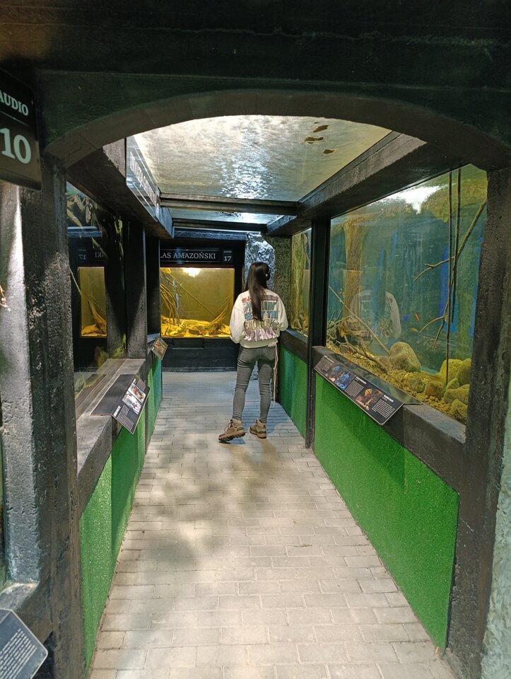 1000001624.jpg - Figie19