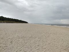IMG_20260901_100700272.jpg
