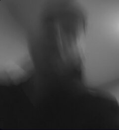 IMG_7525.jpeg