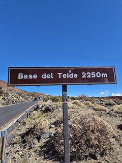 1000011916.jpg