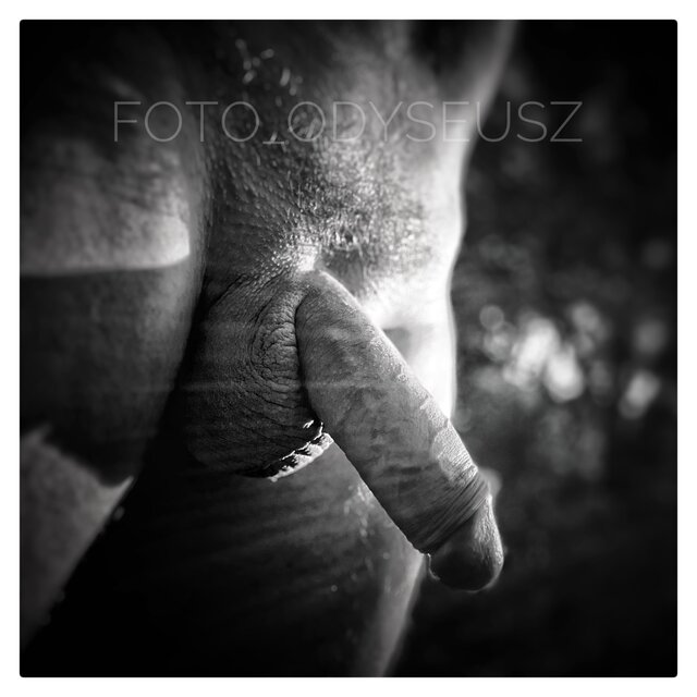 FOTO_ODYSEUSZ