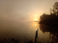 IMG_20221031_065926.jpg