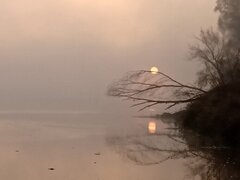 IMG_20221031_065103.jpg