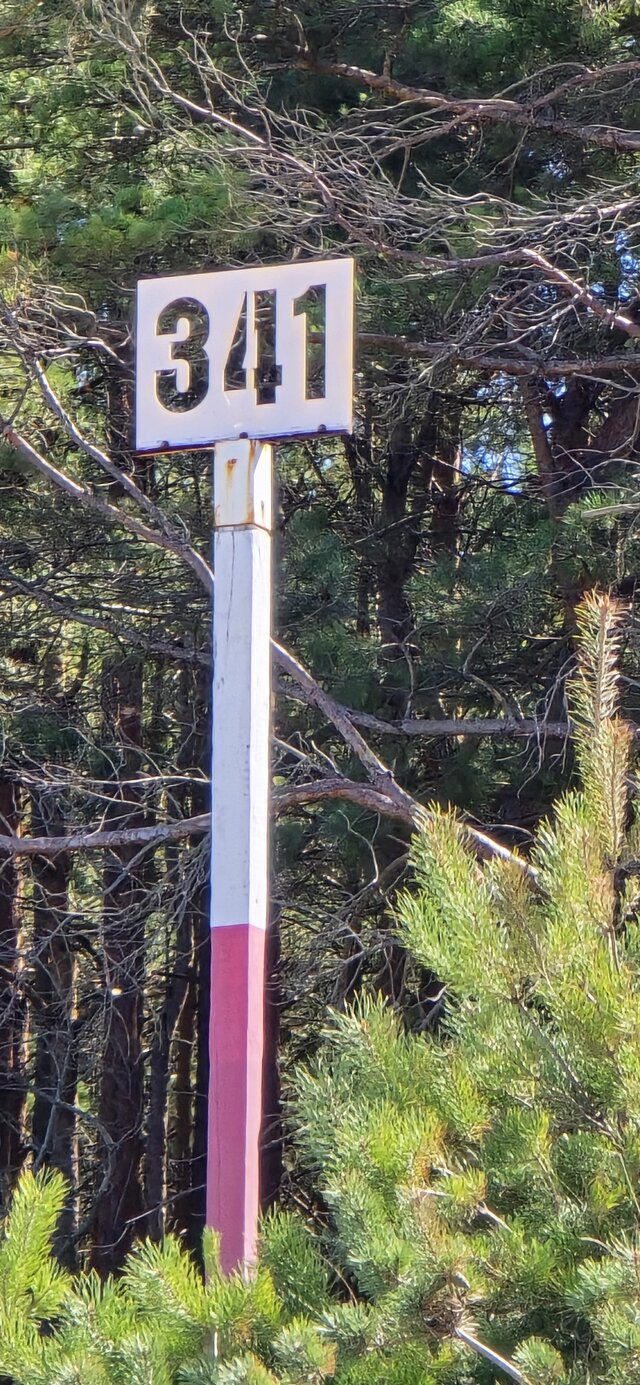 widmo75