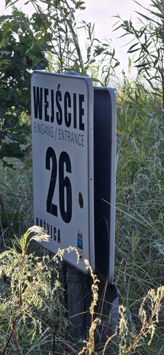 20260813_161716.jpg