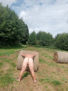 3765.jpg