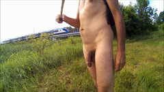 BRYNICA - spacer w lesie i na polu 20260702_1027.mp4_snapshot_07