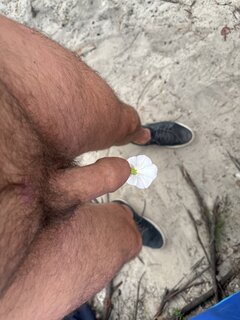 IMG_3704.jpeg