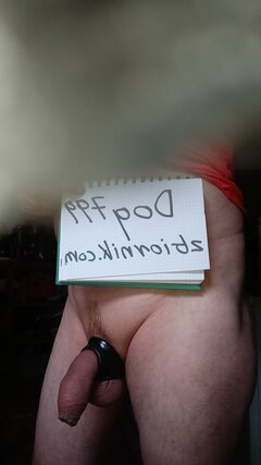 7239.jpg