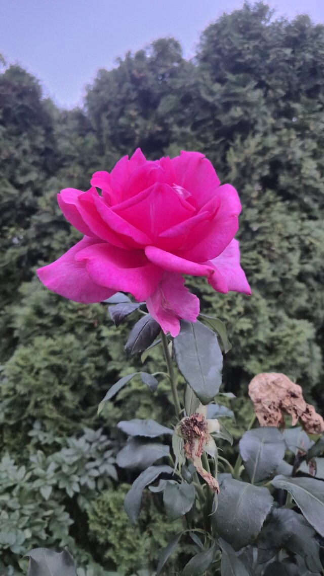 SeksownyUmysl86