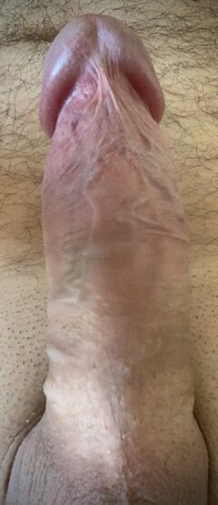 IMG_0108.jpeg