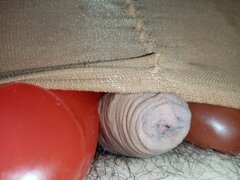 IMG_20260807_235155.jpg