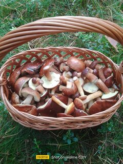 IMG_20260905_110230.jpg