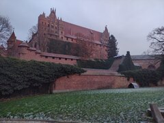 IMG_20251123_150646184.jpg