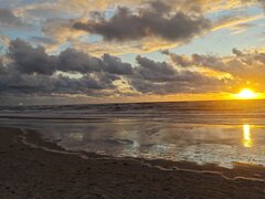 1000006012.jpg