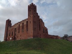 IMG_20251111_142938007.jpg