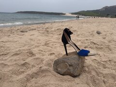 IMG_7134.jpeg