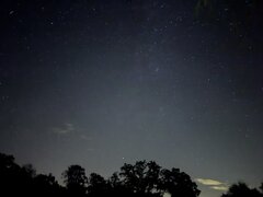 IMG_0810.jpeg