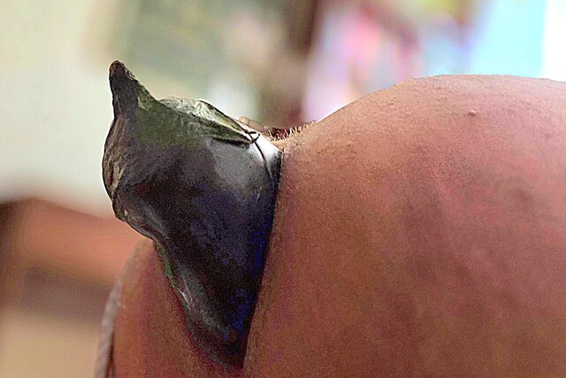 ArekNo1