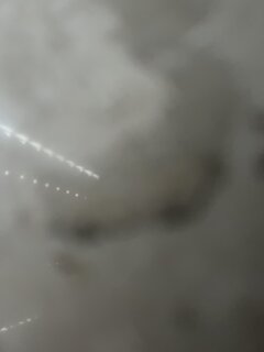 IMG_0835.jpeg
