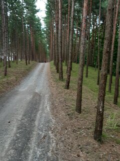 20250801_183928.jpg