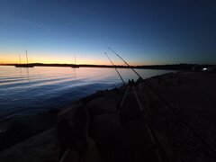 IMG_20260904_201007.jpg