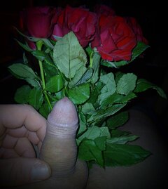 🌹🌹🌹