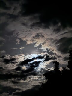 IMG_2817.jpeg