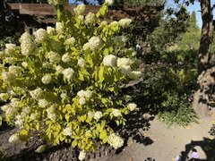 IMG_6671.jpeg