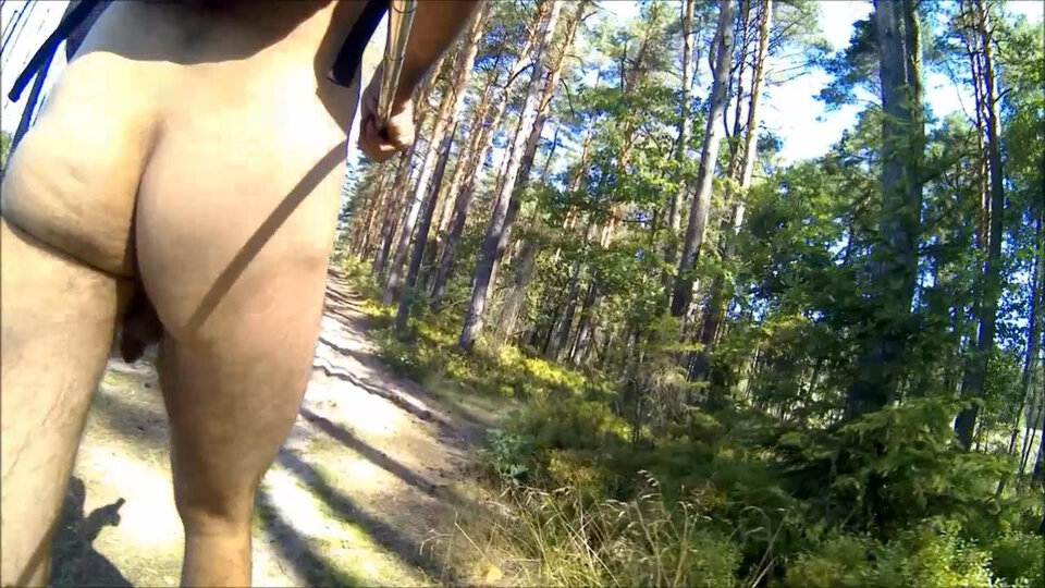 BRYNICA - spacer w lesie 20260814_1018.mp4_snapshot_11.58_[2026. - Krzysztof_cfnm