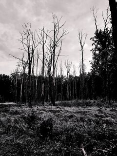 20260909_140711.jpg
