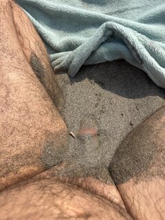 IMG_7203.jpeg