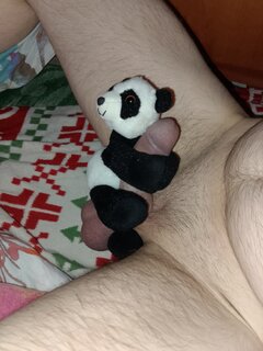 b94f71dd-9c39-4e20-95bb-8a2cdb83b975-1_all_281.jpg