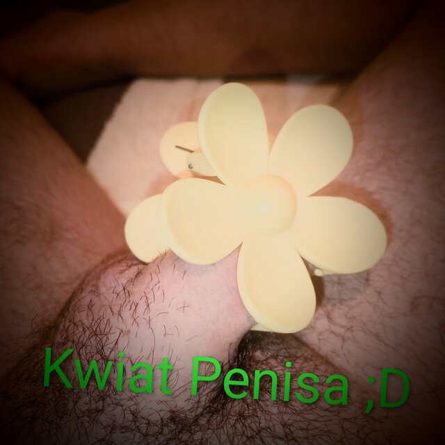 Alvi91