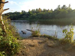 20260909_180551.jpg