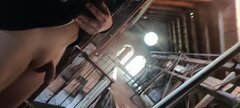 Urbex xD