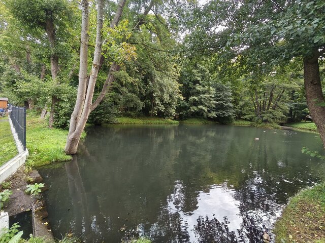 edytkaandrzej