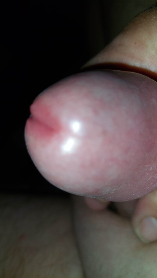 20220425_202156.jpg - Andy779