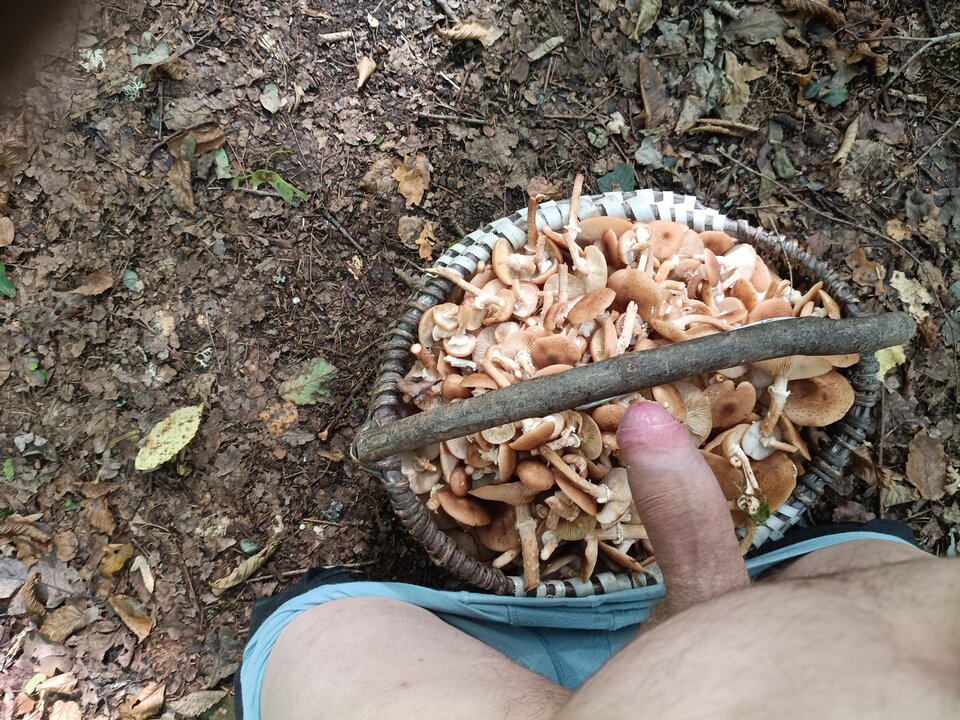 1000005191.jpg - Zwioski14